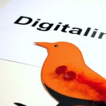 IMG_1554_1